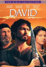 Bible Collection: David (TNT)