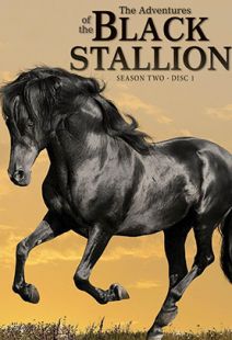 Adventures of the Black Stallion