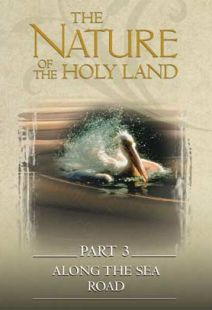 Nature Of The Holy Land #3: Along The Sea Road - .MP4 Digital Download