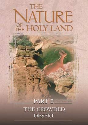 Nature Of The Holy Land #2: Crowded Desert - .MP4 Digital Download